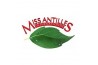 Miss antilles